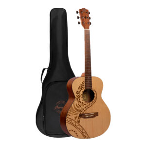 GUITARRA ACUSTICA VISION PACIFICA
